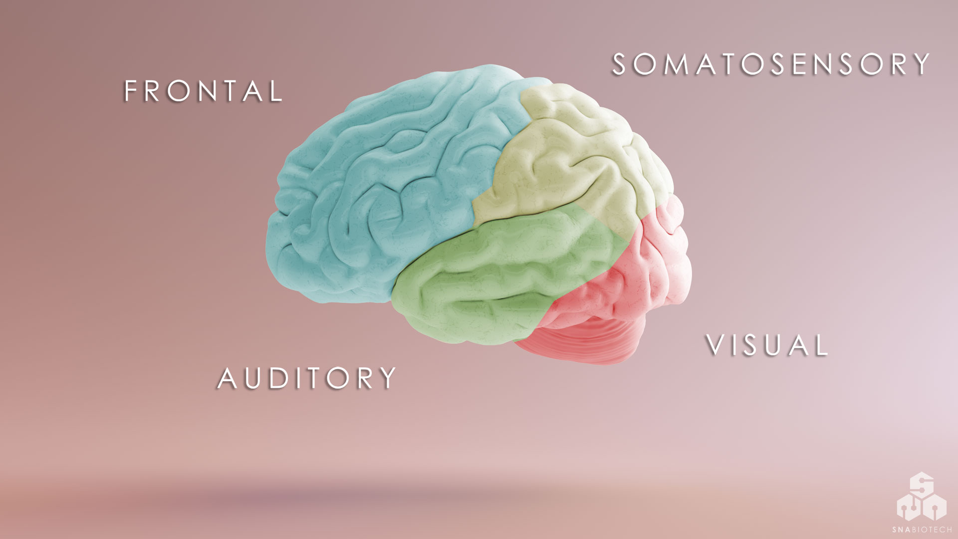 Learning disorders